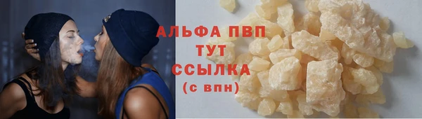СК Куйбышев