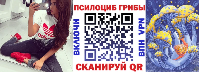 закладка  Невьянск  Псилоцибиновые грибы мицелий 